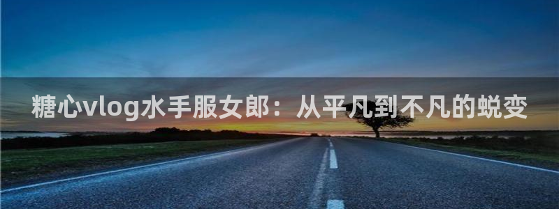 糖心视频vlog排行