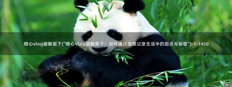 糖心vlog车模：糖心vlog破解版下(