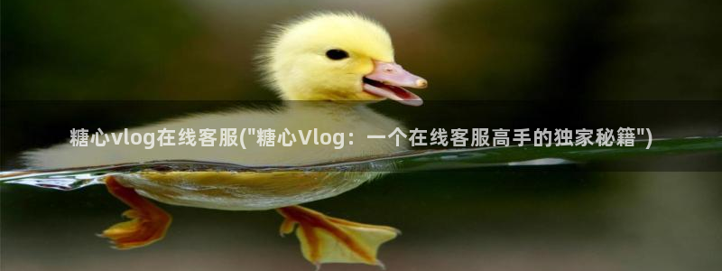 糖心vlog蜘蛛被c：糖心vlog在线客