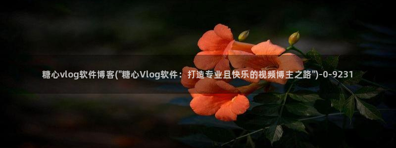 糖心vlog传媒下载：糖心vlog软件博