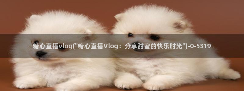 糖心vlog圣诞:糖心直播vlog(\