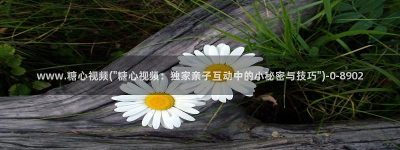 糖心vlog官方在线观看