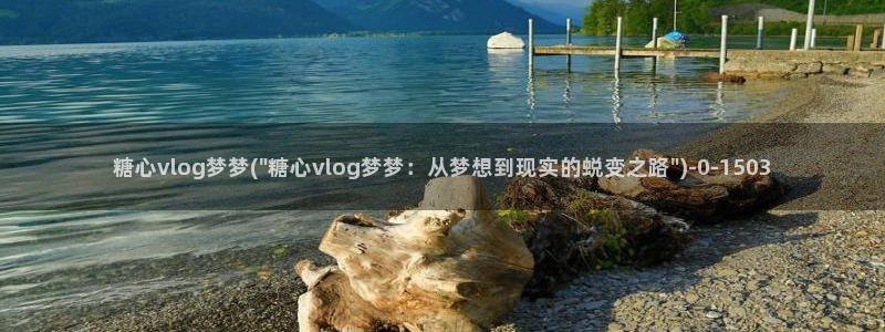 糖心vlog 御梦子