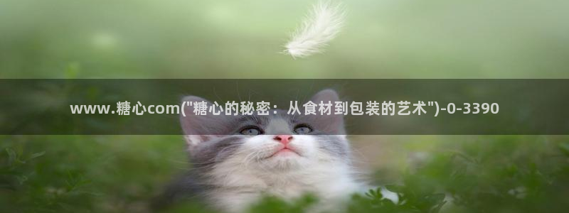 糖心破解版vlog