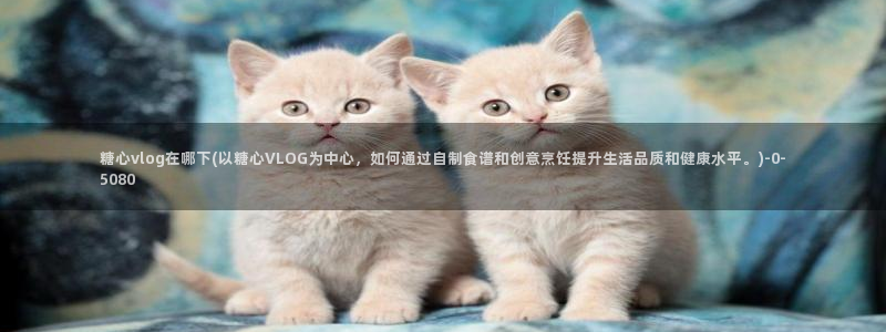 糖心vlog破解版免费版