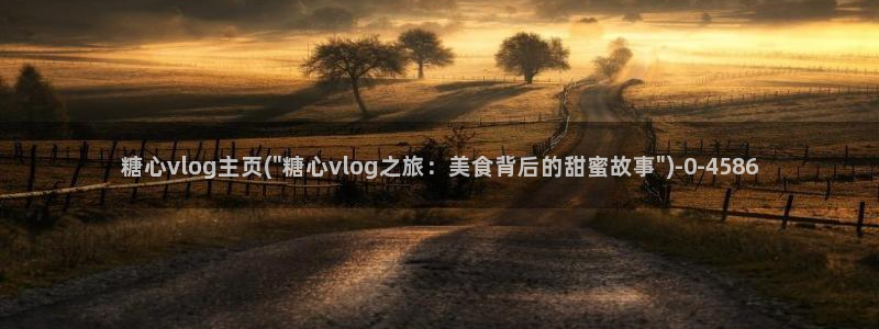 糖心 vlog破解版