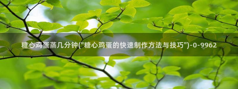糖心vlog破解免费版