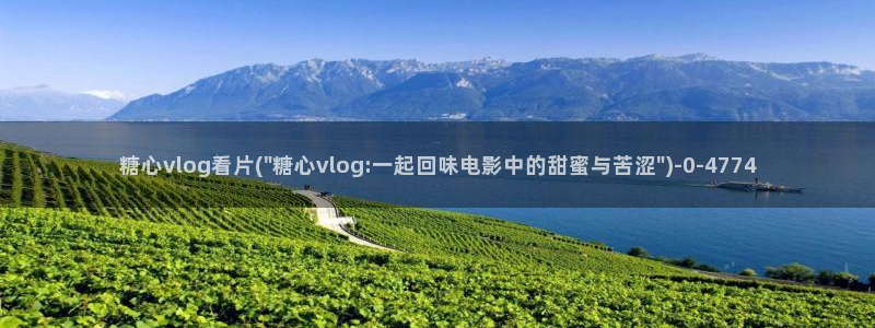 心糖vlog怎么下载