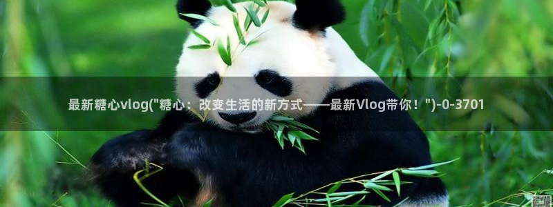 糖心vlog在哪里看