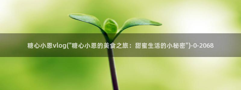 糖心vlog下载免费